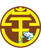 Guangxi Pingguo icon